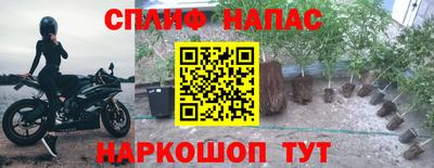 каннабис Малоярославец