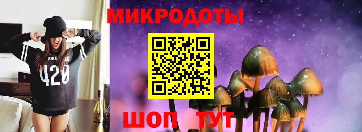 Салехард  наркотики  Вход с VPN  Галлюциногенные грибы Psilocybine cubensis  Галлюциногенные грибы прущие грибы 